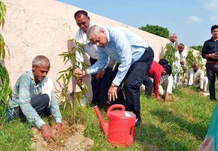 मंगलायत विश्वविद्यालय में ‘एक पेड़ मां के नाम’ पहल के तहत किया पौधारोपण