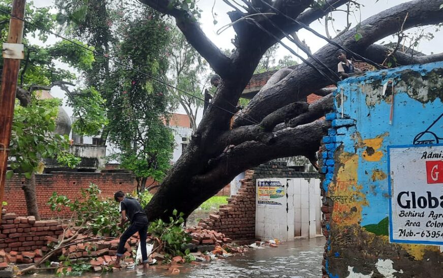 सादाबाद : बरसात से गिरे पेड़ों के कारण लाइन लॉस, 24 घंटे से विद्युत आपूर्ति भंग रहने के कारण पानी को तरसे लोग