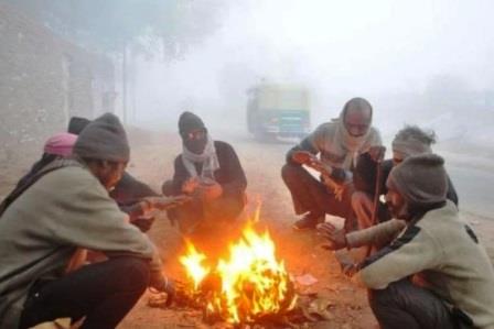 शीतलहर से बचाव हेतु एडवाइजरी जारी, पर्याप्त इम्यूनिटी बनाए रखने के लिए विटामिन सी से भरपूर फल और सब्जियां खाएं, जानें ‘‘क्या करें, क्या न करें‘‘