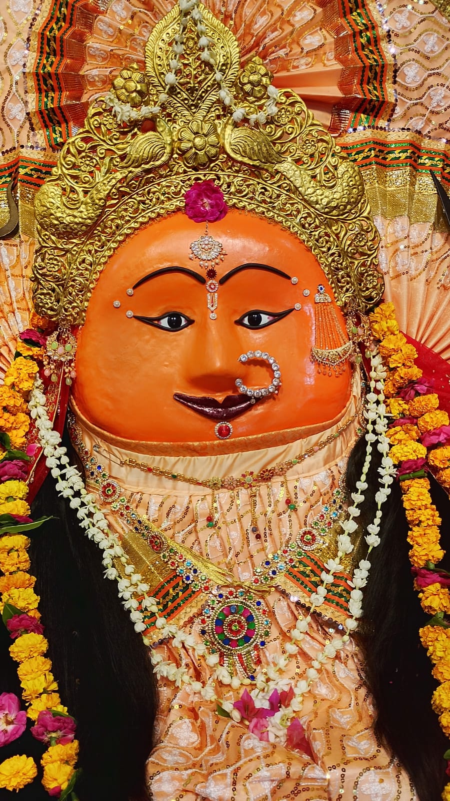 सोमवार दर्शन माँ बौहरे वाली देवी, मुरसान गेट हाथरस