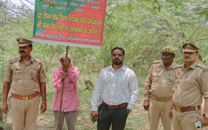 वन विभाग द्वारा कराए गए वृक्षारोपण का अपर जनपद न्यायाधीश ने किया स्थलीय निरीक्षण