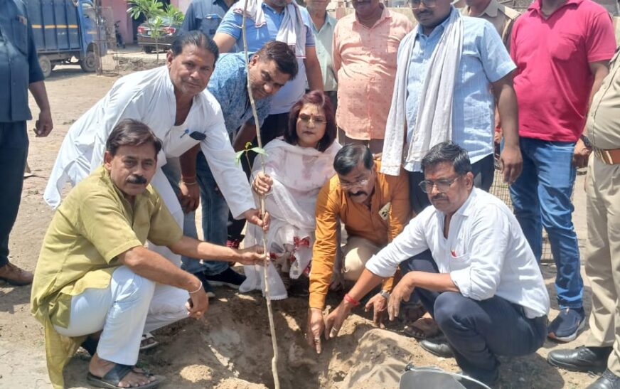 विश्व पर्यावरण दिवस पर एडीएचआर द्वारा वृक्षारोपण कार्यक्रम आयोजित