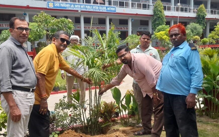 विश्व पर्यावरण दिवस पर एमएलडीवी काॅलेज में हुआ वृक्षारोपण