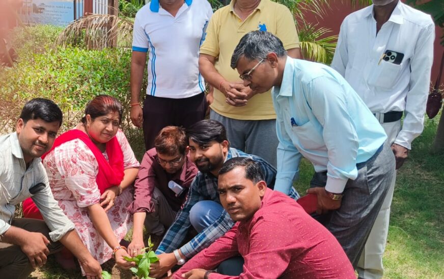 ग्राम राजपुर में विश्व पर्यावरण दिवस पर हुआ वृक्षारोपण