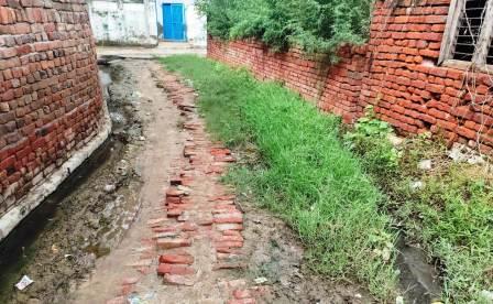 हसायन : बरसात के मौसम में घासफूंस, गंदगी और जलभराव से ग्रामीण हुए परेशान, बरसात के मौसम में पनप रहे मच्छर