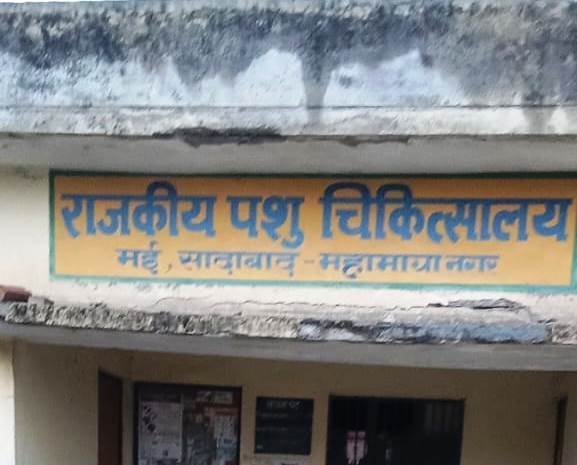 सादाबाद : राजकीय पशु चिकित्सालय का हाल बेहाल, गौसेवक ने डीएम से की शिकायत