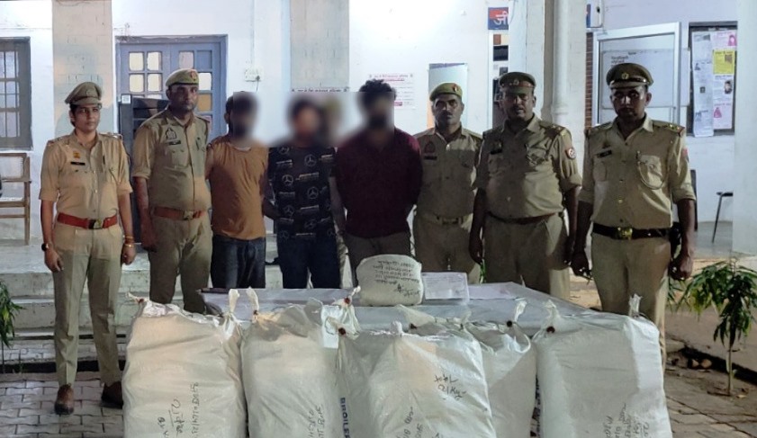 उड़ीसा से गांजा लाकर राजस्थान में बेचते थे तस्कर, स्कॉर्पियो से कर रहे थे गांजा तस्करी, हाथरस पुलिस ने तीन तस्कर दबोचे, साढ़े दस लाख रूपये का एक कुंतल गांजा बरामद