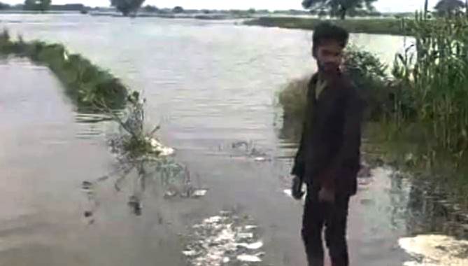 सादाबाद : हथिनी कुंड से यमुना नदी में पानी छोड़े जाने से क्षेत्र के किसानों को नुकसान, सैंकड़ों बीघा धान और तिलहन की फसल डूबी, प्रशासन लगातार कर रहा निगरानी