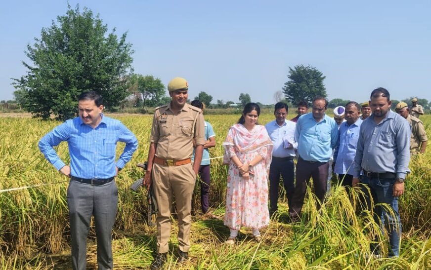 जिलाधिकारी ने किया धान की क्रॉप कटिंग का निरीक्षण, आधुनिक कृषि तकनीक अपनाने पर जोर, फसल मूल्यांकन में पारदर्शिता के लिए वैज्ञानिक पद्धति से की गई क्रॉप कटिंग