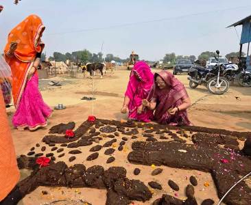 सादाबाद : गौशाला में हुई गोवर्धन पूजा, ग्राम प्रधान ने विधि-विधान से किया पूजन, बांटा गया प्रसाद
