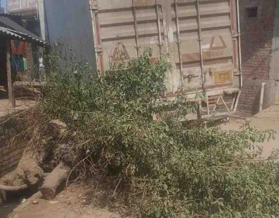 सादाबाद : मिशन शक्ति’ फेज 5.0 के तहत छात्रा को सौंपा गया कार्य प्रभार