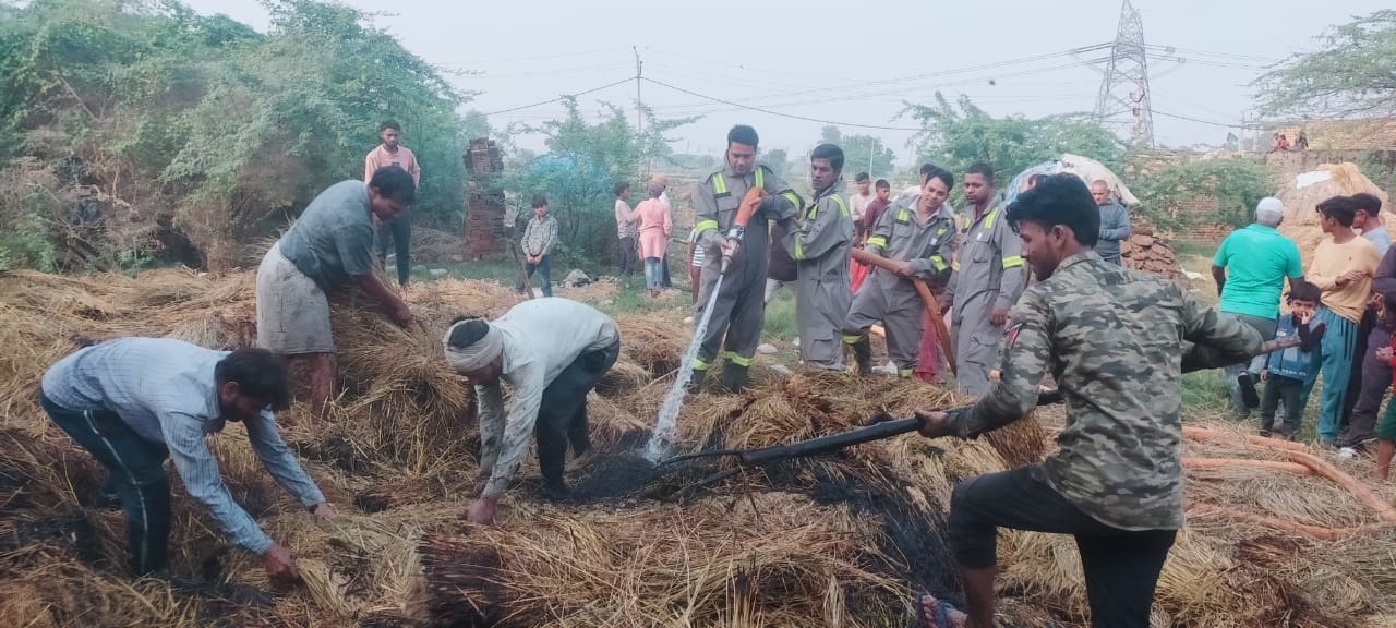 हसायन : पशुओें के लिए रखे सूखे चारे में अज्ञात व्यक्ति ने लगाई आग, फायर बिग्रेड ने आग पर पाया काबू