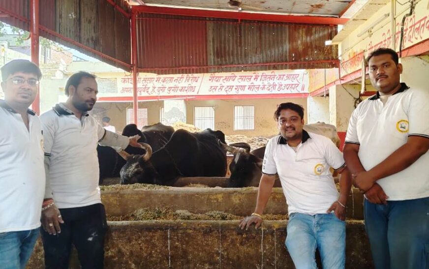 गौमाता को चारा, गुड़ और हरा चारा खिलाकर अर्जित किया पुण्य, गौ सेवा को बताया भारतीय संस्कृति और परंपरा की आत्मा