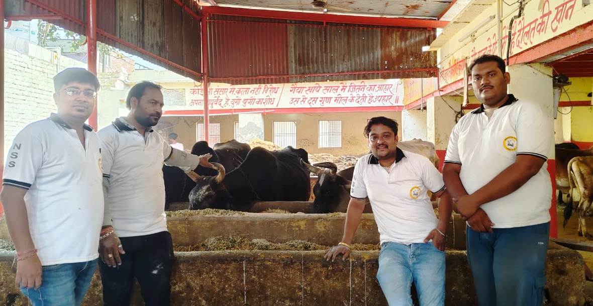 गौमाता को चारा, गुड़ और हरा चारा खिलाकर अर्जित किया पुण्य, गौ सेवा को बताया भारतीय संस्कृति और परंपरा की आत्मा