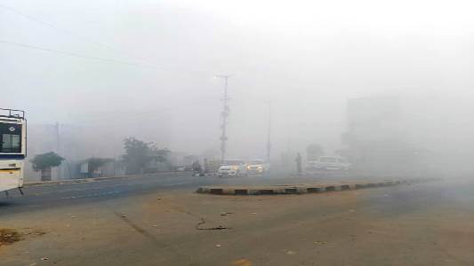 सादाबाद में घना कोहरा छाया, जनजीवन प्रभावित, पूरे दिन नहीं निकली धूप, ठिठुरते हुए स्कूल पहुंचे बच्चे