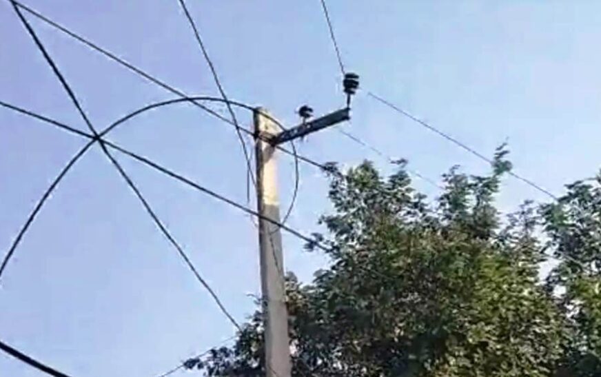 सादाबाद : एचटी लाइन का तार टूटकर गिरा, गांव गोलपुरा की घटना, हादसे के समय नहीं था कोई मौजूद, हादसा टला