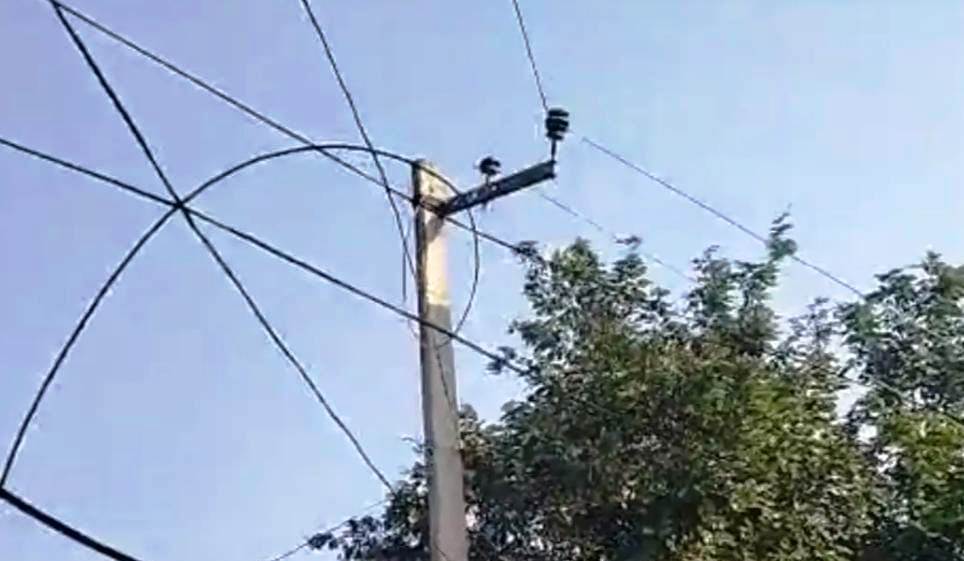 सादाबाद : एचटी लाइन का तार टूटकर गिरा, गांव गोलपुरा की घटना, हादसे के समय नहीं था कोई मौजूद, हादसा टला