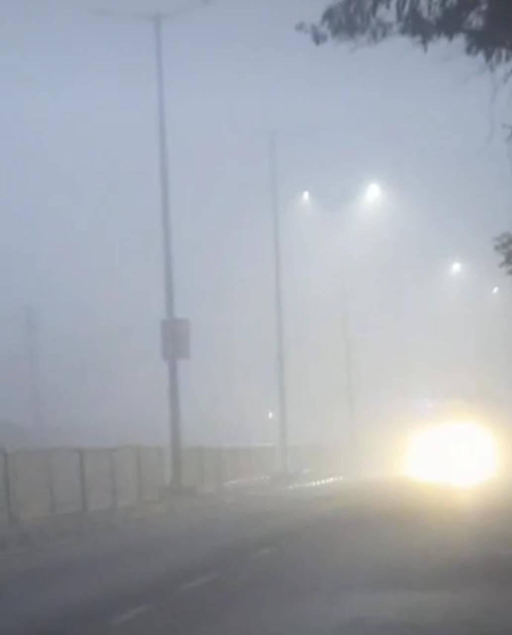 सादाबाद : कोहरे में दृश्यता जीरो, खड्ड में पलटी स्कॉर्पियो कार