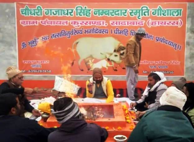 सादाबाद में मकर संक्रांति पर हुआ हवन यज्ञ, कुरसंडा स्थित गौशाला में सामूहिक खिचड़ी भोज का आयोजन