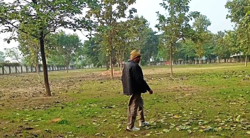 सादाबाद : सत्संग परिसर से पेड़ काटने की शिकायत, राया रोड पर सत्संग परिसर से काटे गए कई दर्जन हरे पेड़