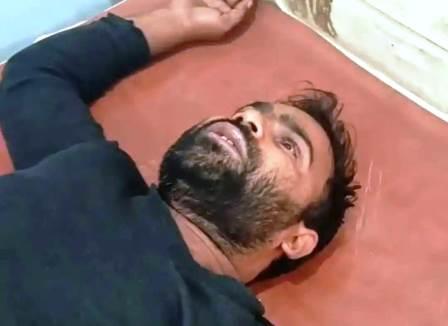 सादाबाद : राजकीय पशु अस्पताल में मधुमक्खियों ने बोला हमला, कर्मचारी हुआ घायल