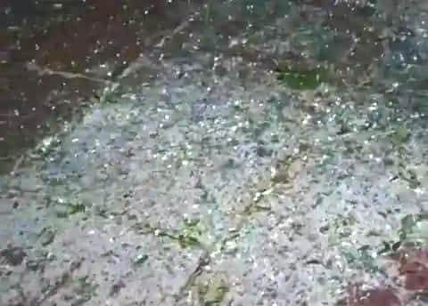 सादाबाद : बारिश-ओलावृष्टि से फसलों पर नुकसान की छाया, शुक्रवार रात आई बारिश-ओले के बाद किसान परेशानी में