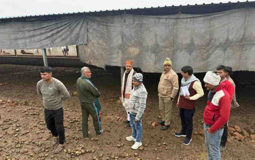 सादाबाद : गौशाला में मिली अव्यवस्थाएं, अफसर बेखबर