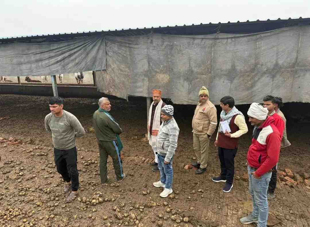 सादाबाद : गौशाला में मिली अव्यवस्थाएं, अफसर बेखबर