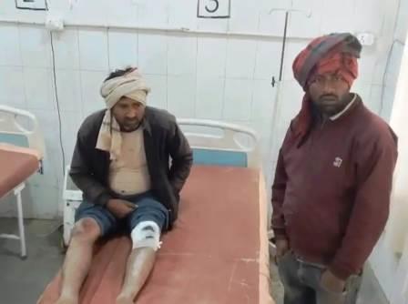 सादाबाद : कुत्ते से टकराई बाइक, सवार घायल  घायल को उपचार के लिए ले जाया गया सीएचसी