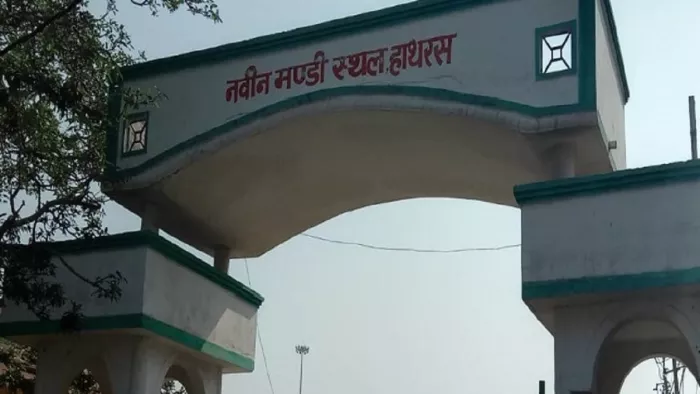 मंडी समिति की सख्ती : बकाया न चुकाने पर छह व्यापारियों के लाइसेंस निलंबित, चेतावनी देने के बावजूद नहीं किया था बकाये का भुगतान