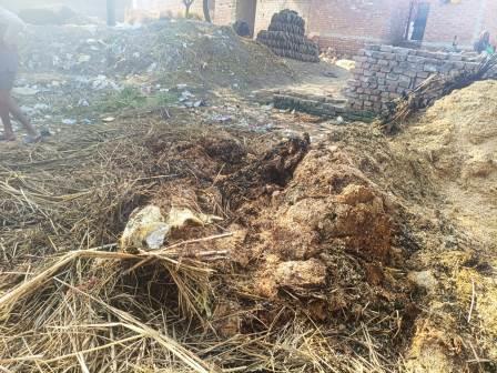 हसायन : गिरधरपुर में चारे की बुर्जी में लगी भीषण आग, हजारों का भूसा जलकर राख