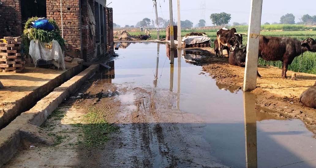 हसायन : नाली निर्माण के चलते मुख्य मार्ग बना तालाब, जल निकासी की व्यवस्था किए बिना शुरू किया काम, राहगीरों का निकलना दूभर