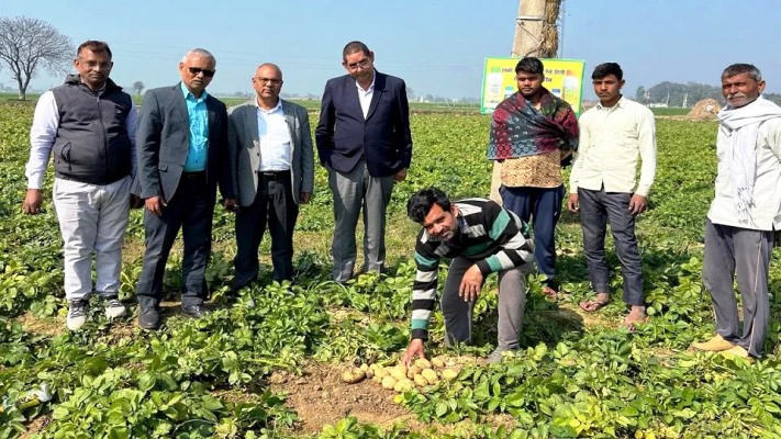 हाथरस के आलू किसानों के लिए खुशखबरी, नीदरलैंड की कंपनी खरीदेगी आलू, सादाबाद और सासनी के आलू अंतरराष्ट्रीय मानकों पर खरे उतरे, फ्रेंच फ्राइज, चिप्स व फ्रोजन उत्पादों के लिए होगा आलू का उपयोग