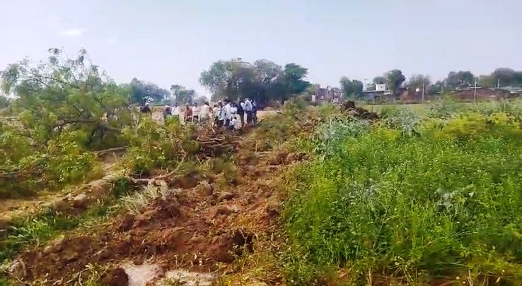 25 बार शिकायत करने पर भी नहीं हुआ समाधान, नीम के पेड़ों पर चलाई कुल्हाड़ी