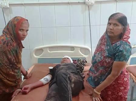 सादाबाद : बंदरों के डर से छत से गिरकर किशोरी घायल, कस्बे के बालाजी नगर की घटना, घायल को अस्पताल में कराया भर्ती