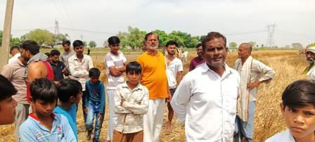 सासनी : हाई टेंशन लाइन टूटने से किसान की आधी फसल जलकर बर्बाद, दो नीलगायों की मौत