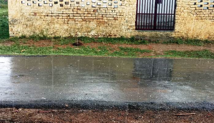 हसायन : तेज आंधी के साथ ओलावृष्टि से फसलों को भारी नुकसान, अन्नदाता पस्त