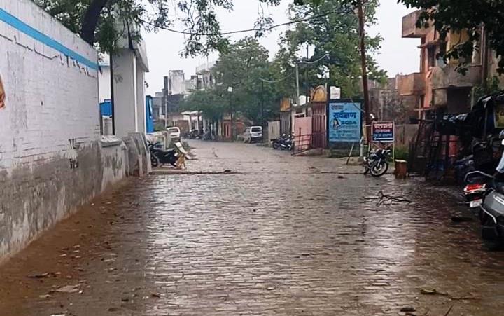 हसायन : कुदरत की मार से अन्नदाता बेहाल, गेहूं और सरसों की फसलों को भारी नुकसान की आशंका, आंधी और झमाझम बारिश ने उड़ाई नींद