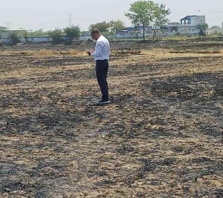 हसायन में भीषण आग से 15 बीघा फसल जलकर राख, बड़ा हादसा टला