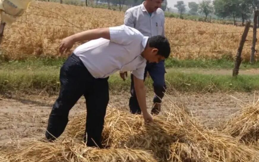 सादाबाद : आंधी-बारिश के नुकसान का आंकलन करने पहुंचे अधिकारी, एसडीएम मनीष चौधरी ने किया कुरसंडा और करसौरा का दौरा