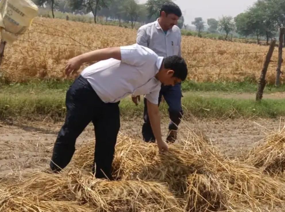 सादाबाद : आंधी-बारिश के नुकसान का आंकलन करने पहुंचे अधिकारी, एसडीएम मनीष चौधरी ने किया कुरसंडा और करसौरा का दौरा