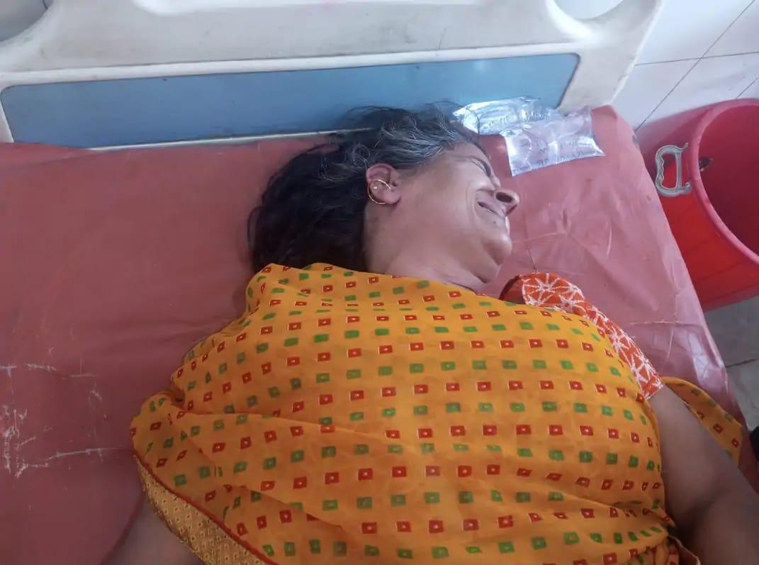 सादाबाद : मधुमक्खियों के हमले में महिला घायल, गांव मनस्या में घर के बाहर काम करते समय बोला हमला