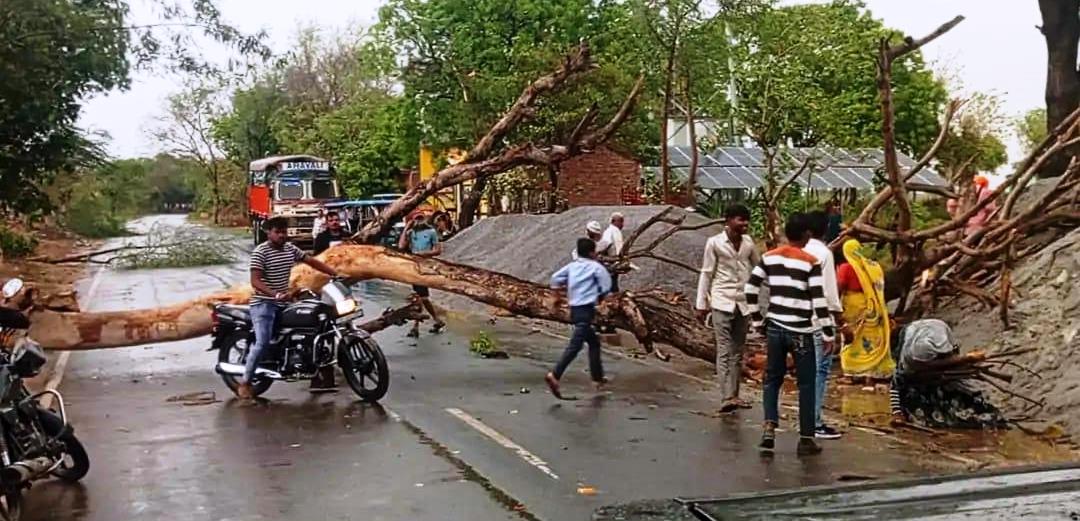 सादाबाद : आंधी से सड़क पर टूटकर गिरा पेड़, तेज रफ्तार हवा से कस्बा-देहात में कई जगह हुआ नुकसान