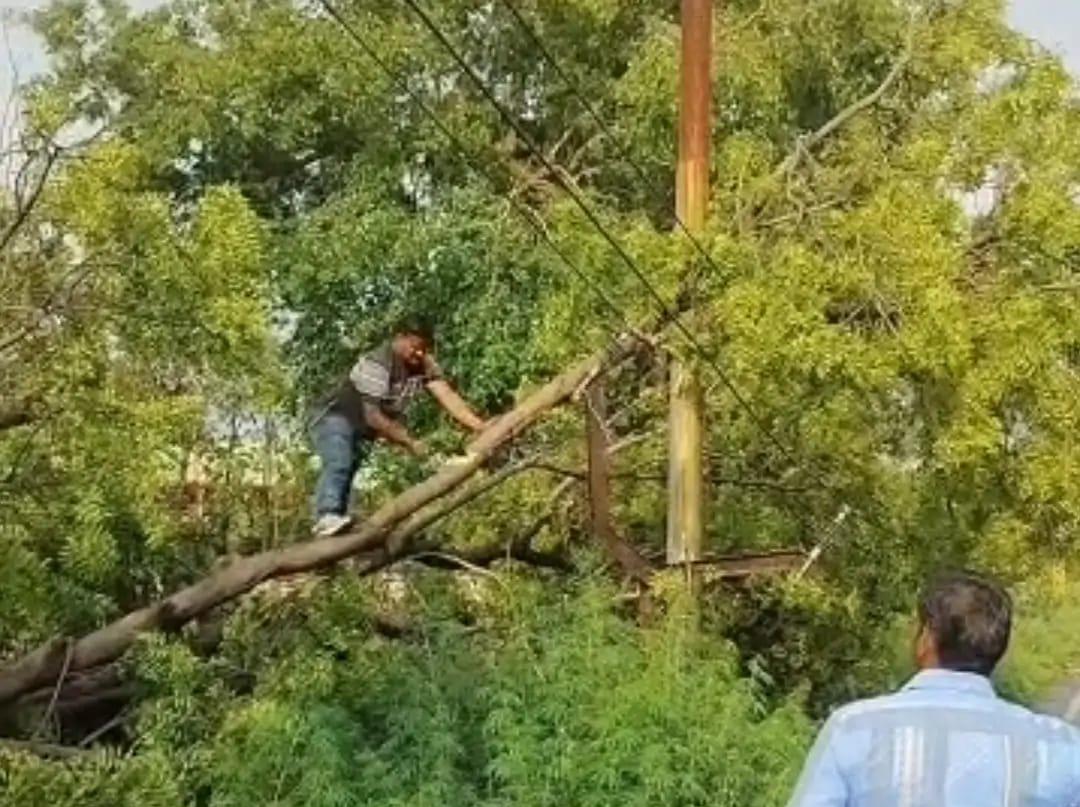 सादाबाद : आधा दर्जन से अधिक गांव की बत्ती गुल, आंधी बनी मुसीबत, बिजली विभाग को भारी नुकसान