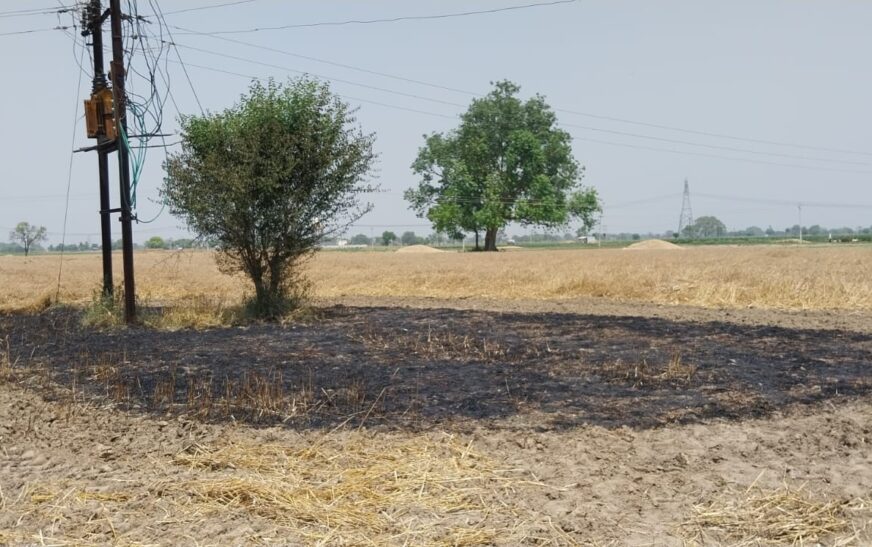 हाईटेंशन लाइन का तार टूटने से दो बीघा गेहूं की फसल राख, ग्रामीणों ने बिजली विभाग पर जड़ा लापरवाही का आरोप, ग्रामीणों ने खुद बुझाई आग