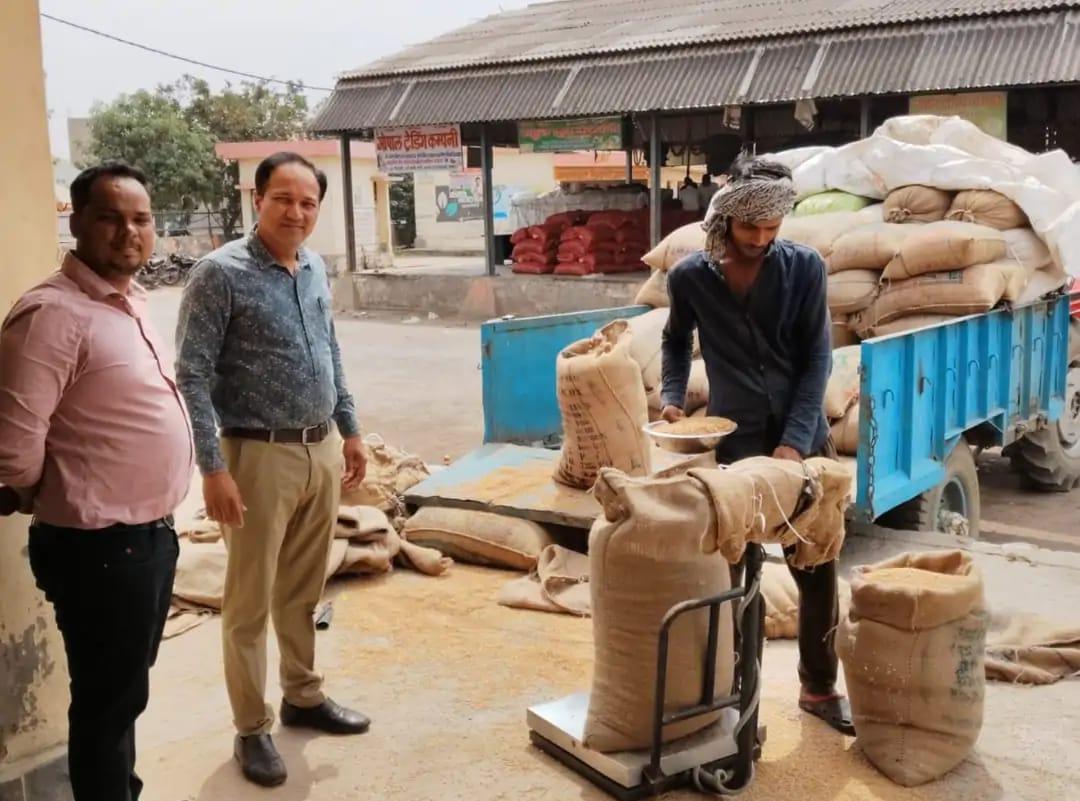 सादाबाद : मंडी में हुई 1375 कुंतल गेहूं की खरीद, दो केंद्रों पर जारी है एमएसपी पर गेहूं की खरीद, अभी नहीं खरीदे जा रहे भीगे गेहूं