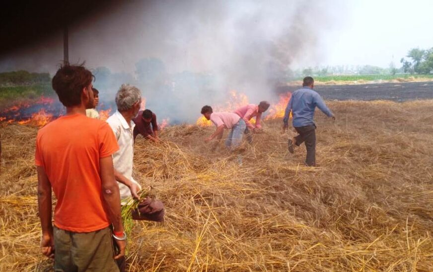 सिकंदराराऊ : रंजिश में 25 बीघा गेहूं की फसल फूंकी, छह के खिलाफ मुकदमा दर्ज