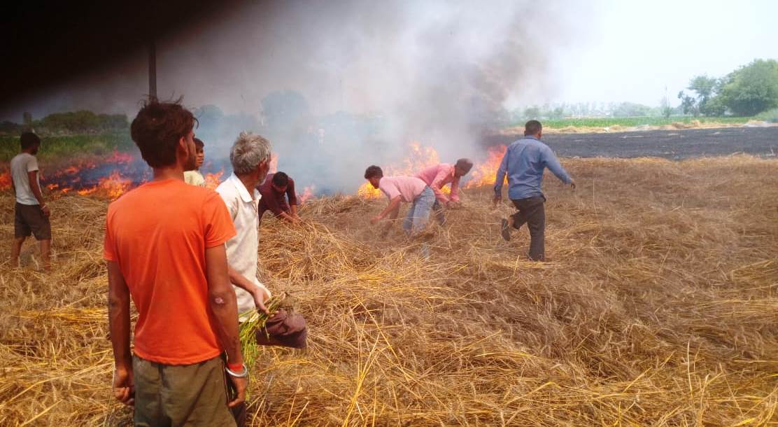 सिकंदराराऊ : रंजिश में 25 बीघा गेहूं की फसल फूंकी, छह के खिलाफ मुकदमा दर्ज