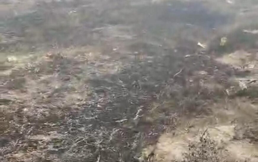 अज्ञात कारणों से टेंट के गोदाम में लगी भीषण आग, लाखों का सामान जलकर खाक, दीवार काटकर दमकल कर्मियों ने पाया काबू