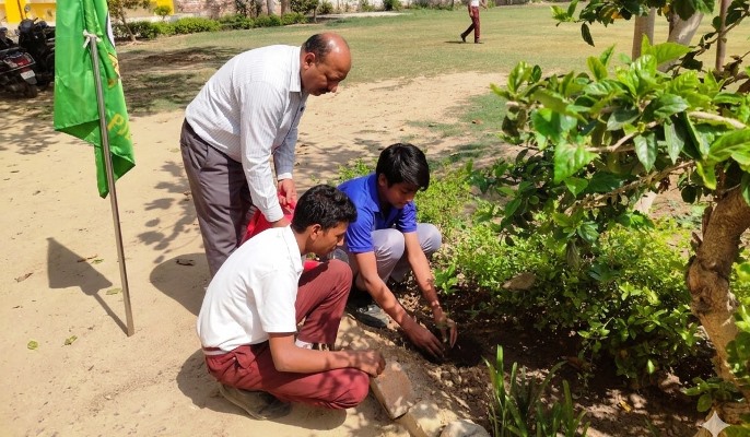 सेकसरिया सुशीला देवी पब्लिक स्कूल में पृथ्वी दिवस की धूम, इको क्लब ने किया वृक्षारोपण